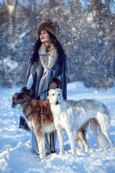 A girl with greyhounds on the snow — Stock Photo, Image