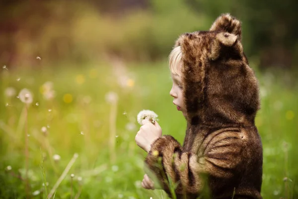 Маленькая девочка в костюме медведя — стоковое фото
