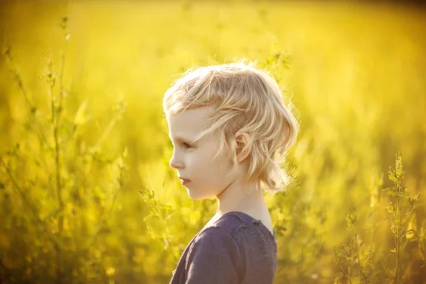 Портрет девушки в поле с желтыми цветами — стоковое фото