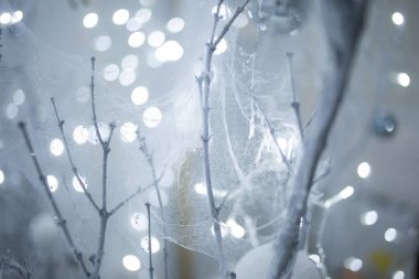 Beyaz şubeleri, örümcek ağları ve bokeh