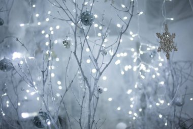 Beyaz şubeleri, örümcek ağları ve bokeh