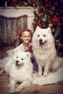 Noel ağacı yakınındaki iki beyaz köpek ile kız