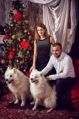 Karı koca Noel ağacı, beyaz köpeği olan