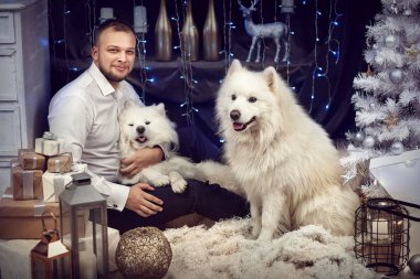 Bir adam bir Noel ağacı yakınındaki iki köpek ile