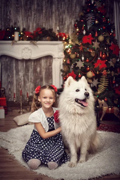 Dívka s dvěma bílým psem u vánočního stromu — Stock fotografie