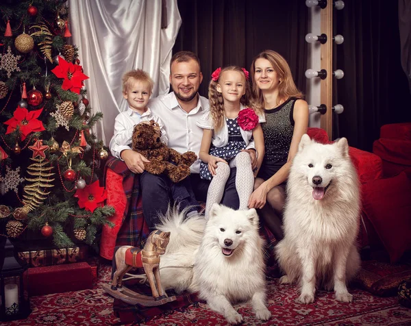 Aile ile Noel ağacı yakınındaki iki beyaz köpek