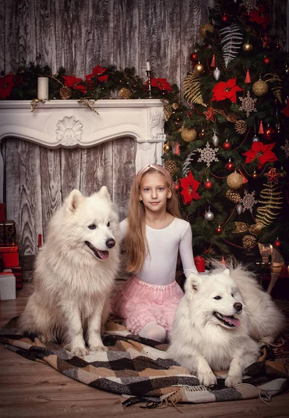 Chica con dos perros blancos — Foto de Stock