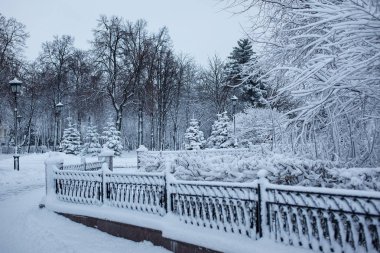 Winter park karla kaplı bir kaldırım ile