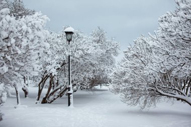 Bir kar parkta sokak lambası