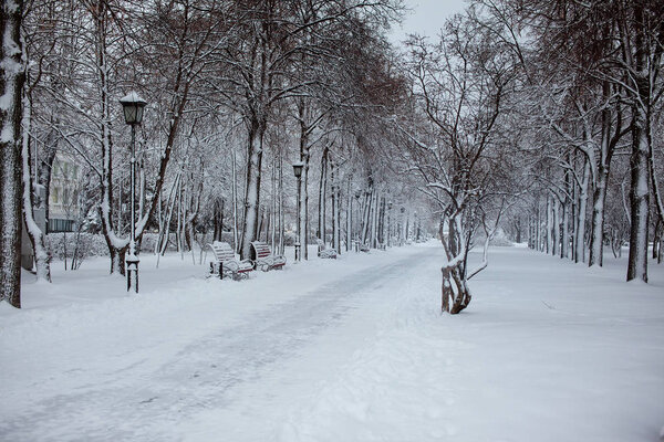 Winter Snow Alley with street lights. Horizontal frame