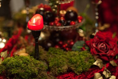 Mumlar, yosun ve güller kırmızı tonlarda karanlık natürmort