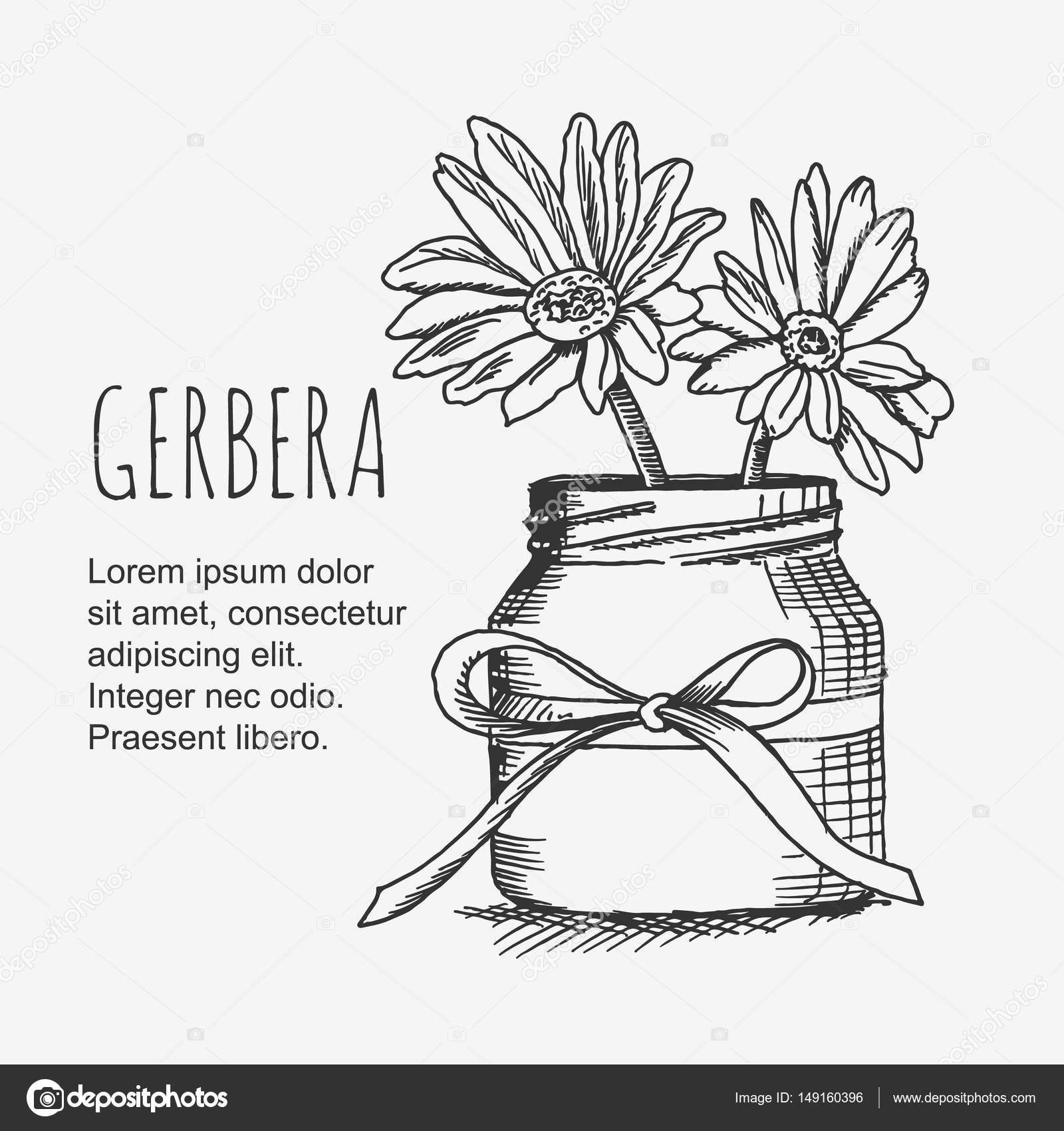Clip Art Flower Vase Vector Clipart Gerbera Flower In Vase