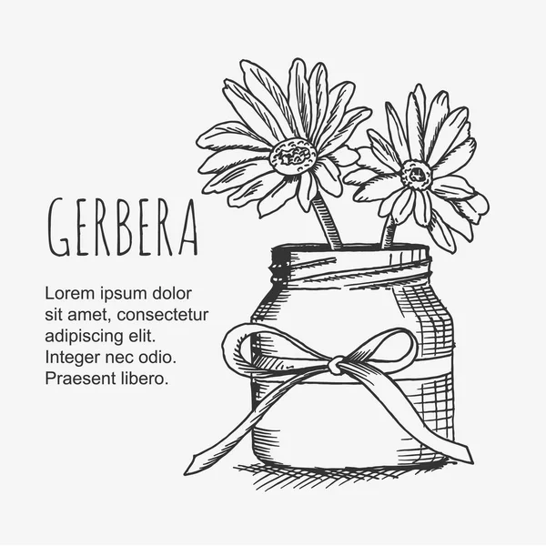 Vector clipart gerbera flor en jarrón — Vector de stock