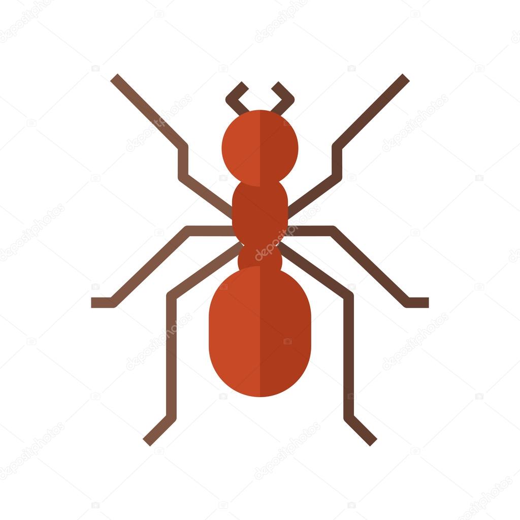 Red Ant Icon