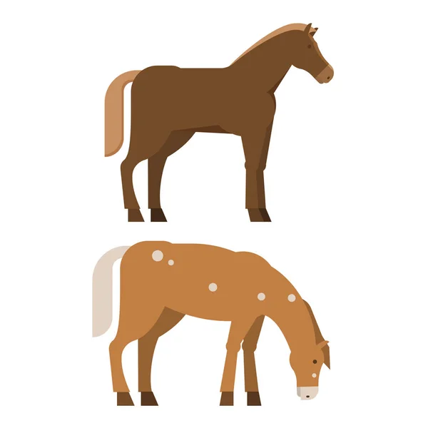 Kastanj hästar i olika poser — Stock vektor
