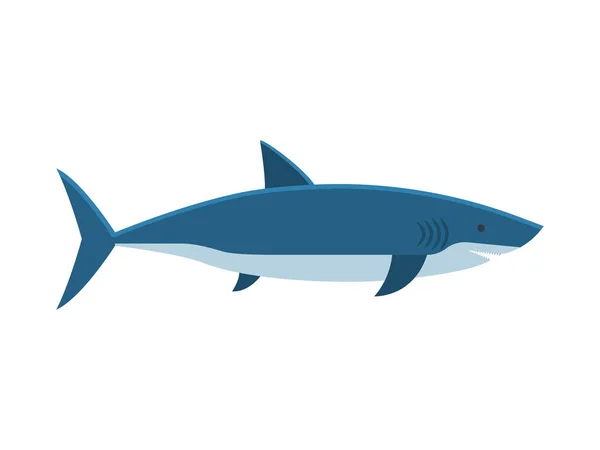 Büyük beyaz köpekbalığı vektör çizim — Stok Vektör