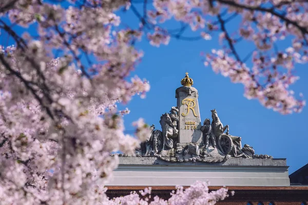 Kvetoucí Sakura v Postupimi — Stock fotografie