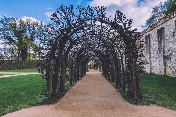 Belvedere Sarayı Potsdam üzerinde Ivy kemer — Stok fotoğraf