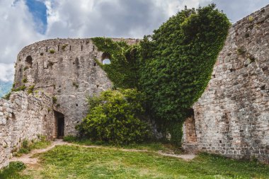 Sarmaşık duvar ve Monetegro Bar harabelerde