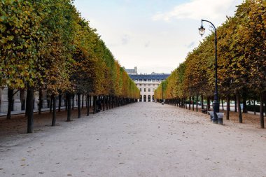 Saray kraliyet sokak Paris, Fransa