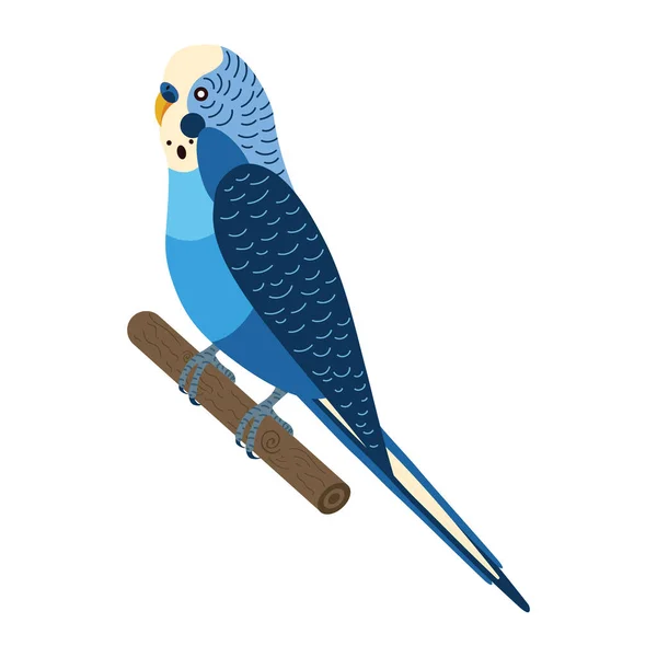 Budgerigar Parakeet Parrot or Budgie Bird in Flat — Stock vektor