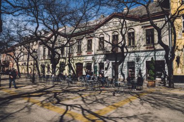 Subotica 'daki Ağaç Gölgeleri ve Sokak Kafesi