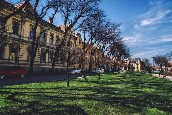 Subotica Old Town Street with Trees — 图库照片