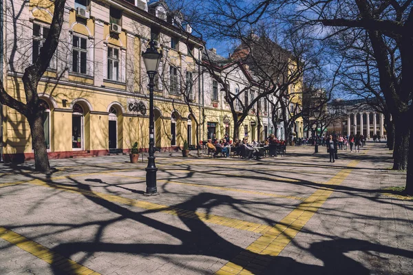Árvore Sombras em Subotica Cidade Velha — Fotografia de Stock
