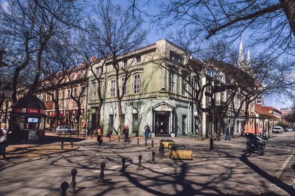 Boom Schaduwen in de oude binnenstad van Subotica — Stockfoto