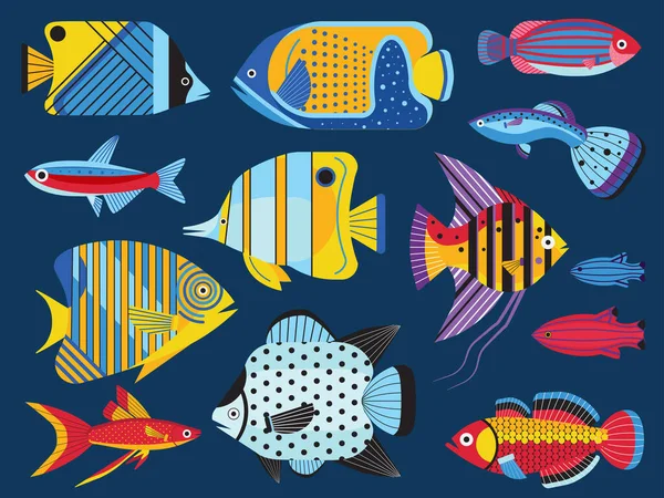 Coloridos peces de acuario tropical en plano — Vector de stock