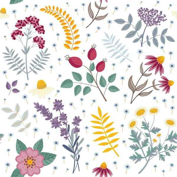 Seamless Pattern with Medical Herbs and Flowers — Stock Vector