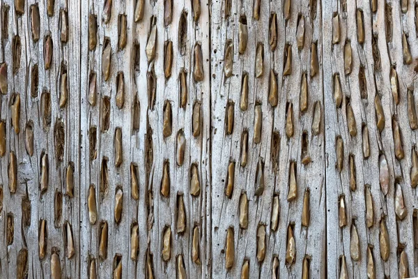 Młócenie deska dla pszenicy wieku drewno i kamienie tekstura tło wzór — Zdjęcie stockowe