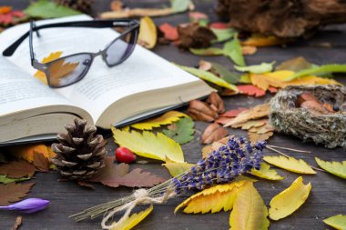 Yumuşak güneş ışığı altında sonbahar yaprakları arasında eski kitaplar