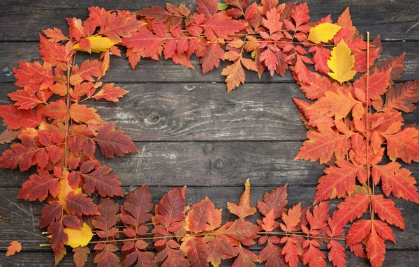 autumn frame of colored leaves on a natural wood background