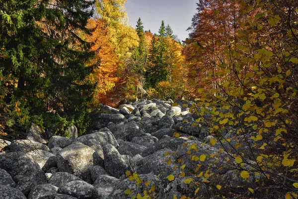 Unico fiume di pietra con grandi pietre di granito o la Morena durante la caduta in montagna — Foto Stock
