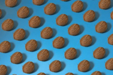 Pastel mavi arka planda hindistan cevizi renkli desen. Yaz kavramı. Düz yatıyordu.