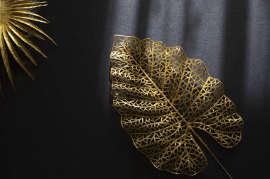 Birleşik Devletler 'in Birleşik Devletler' deki üçüncü karantina başkanı Thomas Jefferson 'ın tıbbi maskeli iki dolarlık tasarısı..