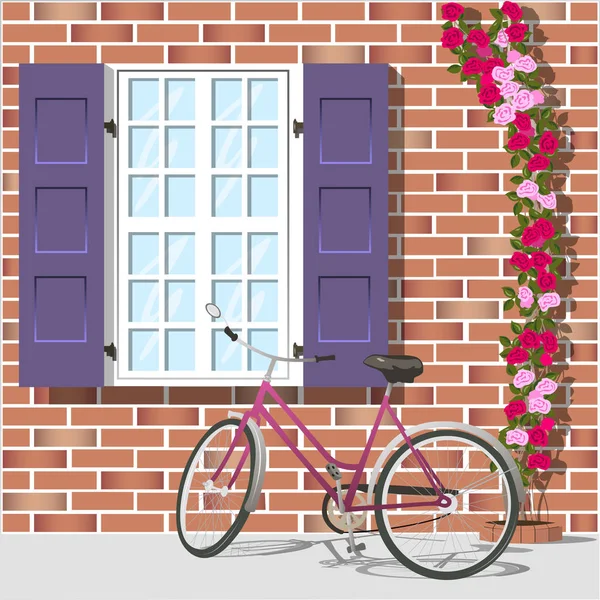 Ventana y bicicleta 1 — Vector de stock