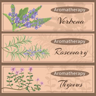 Aromaterapi koleksiyonu ayarla.