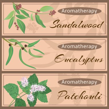 Aromaterapi koleksiyonu ayarla.