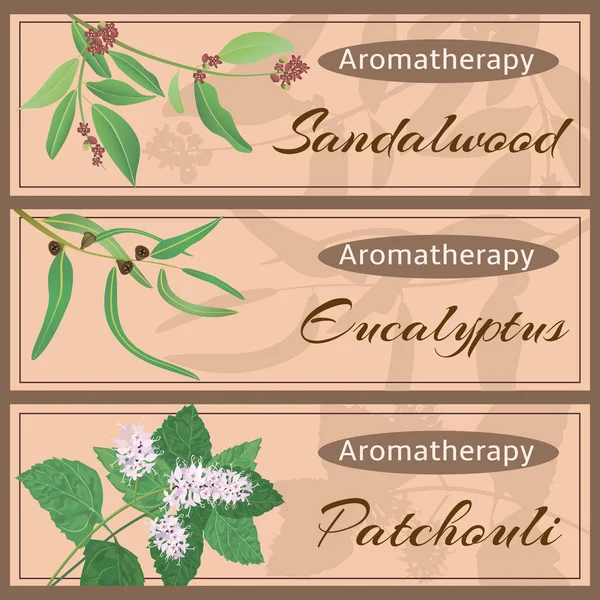 Aromaterapeutická sada kolekce. — Stockový vektor