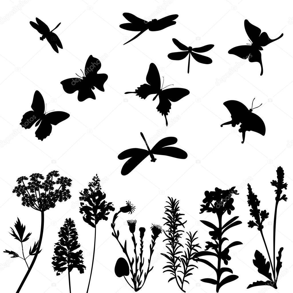 Silhouettes of grass, dragonflies and butterflies isolated