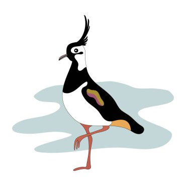 Lapwing bird. Vanellinae. Cartoon image. clipart