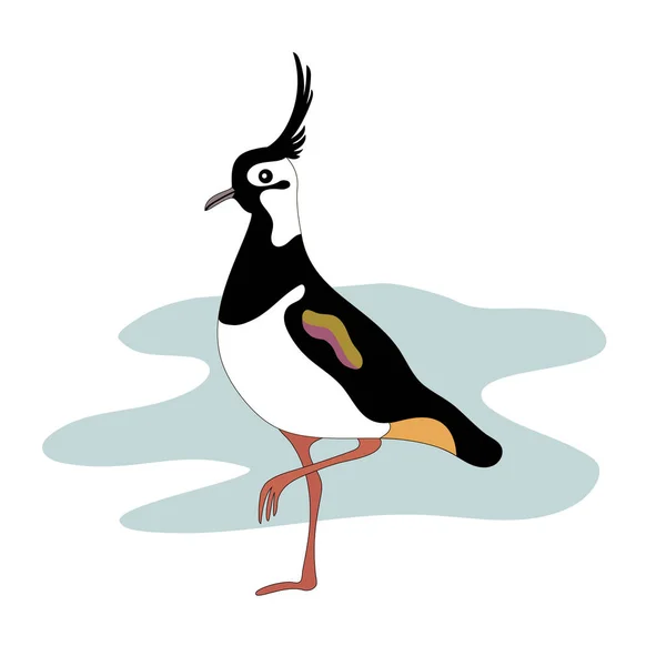 Lapwing bird. Vanellinae. Cartoon image. — Stock Vector