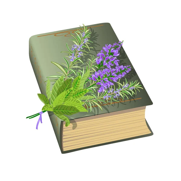 Régi könyv, virágcsokor. — Stock Vector