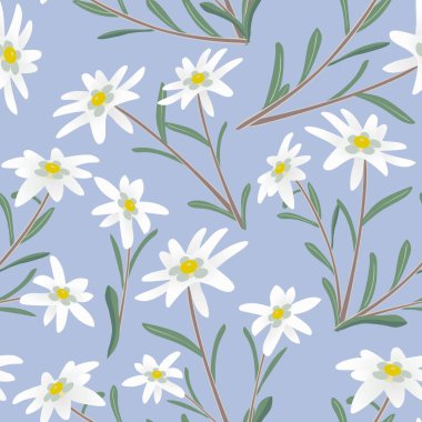 Edelweiss seamless modeli