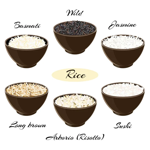 Diferentes tipos de arroz en cuencos — Vector de stock