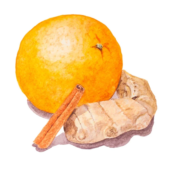 Pomarańcza, cynamon, imbir, akwarela — Zdjęcie stockowe