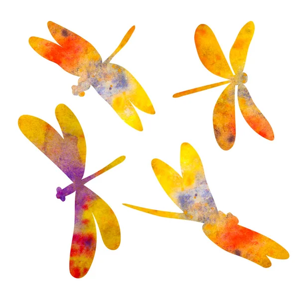 Dragonfly σιλουέτα. Ακουαρέλα εικονογράφηση. Απομονωμένα σε λευκό — Φωτογραφία Αρχείου