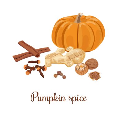Kabak spice. Vektör çizim